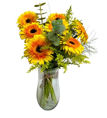 Vazoda Gün Doğuşu Gerbera