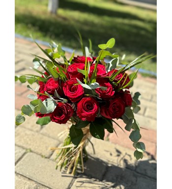 Bosıc Red